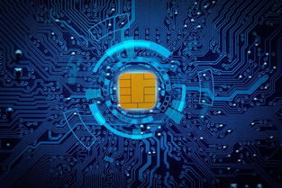 進(jìn)軍大灣區(qū) 慧聰集團(tuán)產(chǎn)業(yè)互聯(lián)網(wǎng)戰(zhàn)略再升級(jí)