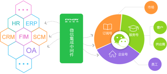 整合企業運營 從數據庫管理到定制軟件應用的全方位解決方案